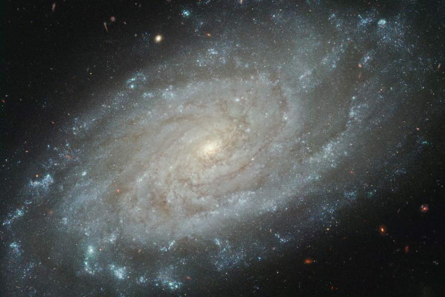 Our Strange Universe: Q&A With Nobel Prize Winner Brian Schmidt